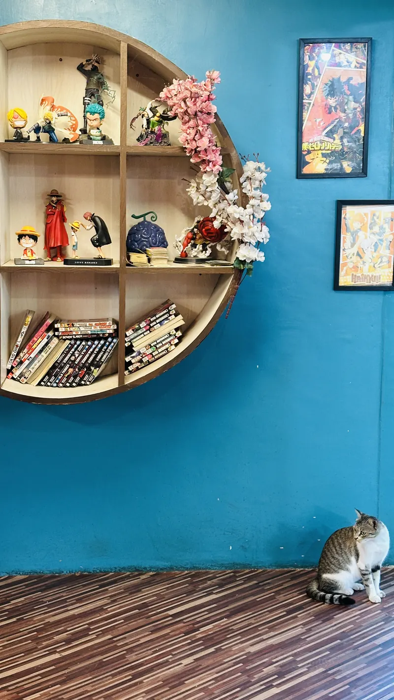 Round manga shelf with figures, and a cat resting on the floor below