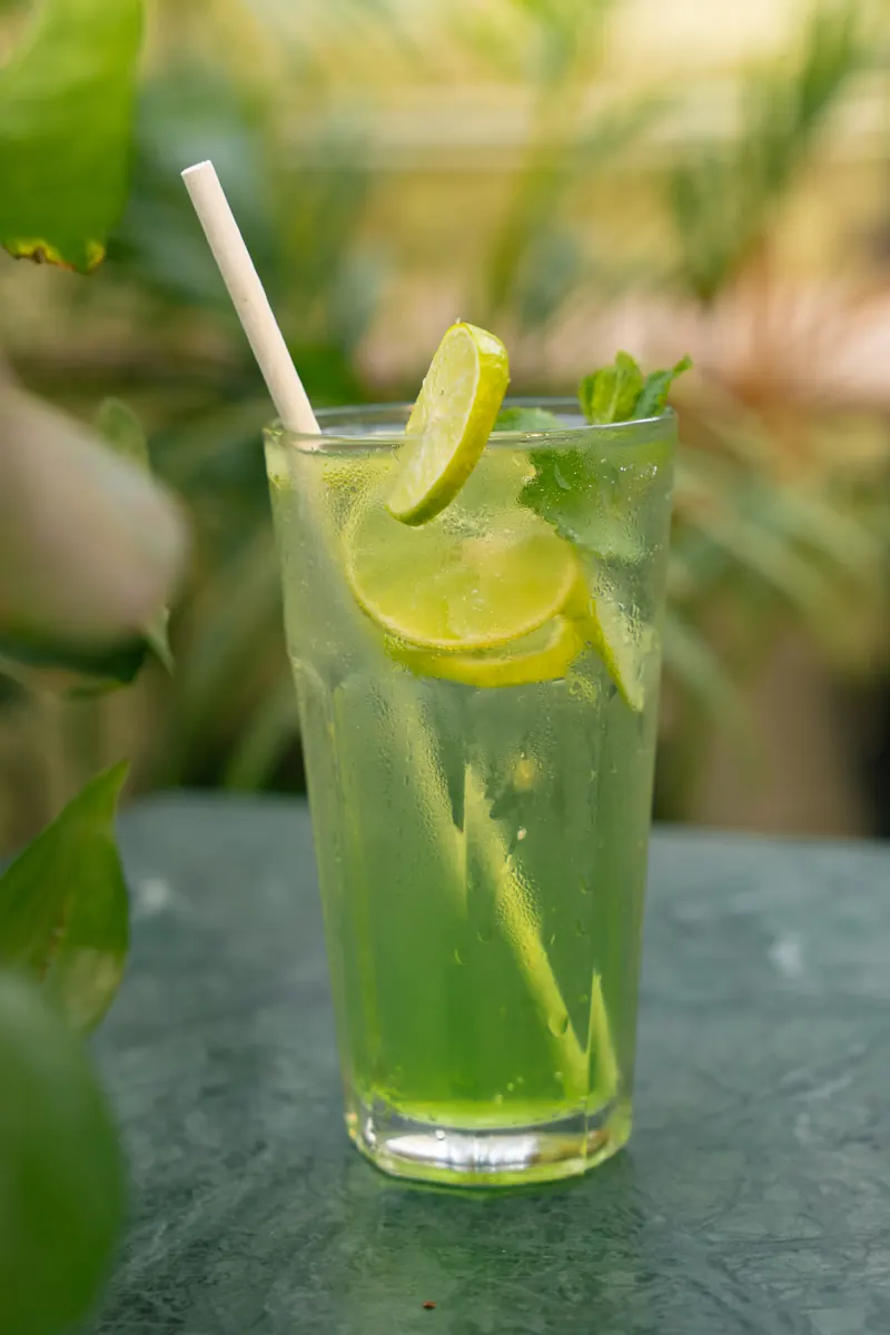 Mint Mojito